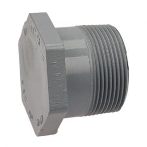 NIBCO CB09200 Plug, 1-1/4 Inch Size, MNPT End Style, CPVC | BU4VGZ