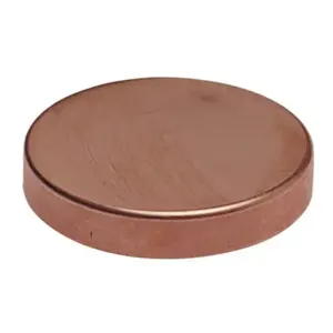 NIBCO H173500 DWV Test Cap, 1/2 Inch Size, C End Style, Copper | BU4TKY