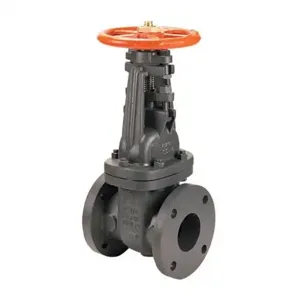 NIBCO NH24L0J Gate Valve, 5 Inch Valve Size, Flanged, Cast Iron Body | BZ3LYH