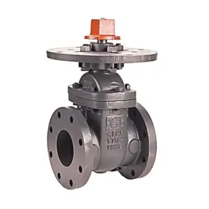 NIBCO NH5000K Gate Valve, 6 Inch Valve Size, Flanged, 175 Psi, Cast Iron Body | BZ3LYQ