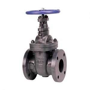 NIBCO NHAE08F Gate Valve With Flange, 3 Inch Valve Size, Flanged, Cast Iron Body | BY4ZDD