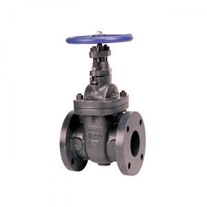 NIBCO NHACS0E Gate Valve With Square Operating Nut, 2-1/2 Inch Valve Size, Flanged, Cast Iron Body | BZ3LZV