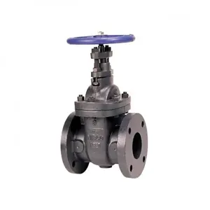 NIBCO NHACS0N Gate Valve, 12 Inch Valve Size, Flanged, Cast Iron Body | BZ3MAB