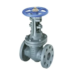 NIBCO NHAW08M Gate Valve, 10 Inch Valve Size, Flanged, Cast Iron Body | CB2UWG