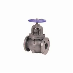 NIBCO NHC30TL Globe Valve, 8 Inch Size, Flanged End Style, Cast Iron Body | CC8DCP