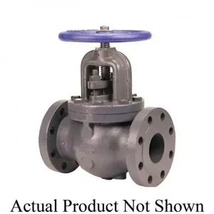 NIBCO NHCF00K Globe Valve, 6 Inch Size, Flanged End Style, Cast Iron Body | CB9MTL