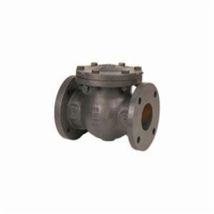 NIBCO NHE300N Swing Check Valve, 12 Inch Valve Size, Flanged, Cast Iron Body | CB9MUX