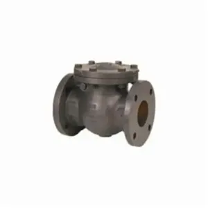 NIBCO NHE300D Swing Check Valve, 2 Inch Valve Size, Flanged, Cast Iron Body | CB9MUY