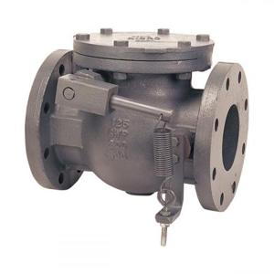 NIBCO NHE3S0K Swing Check Valve With Spring, 6 Inch Valve Size, Flanged Cast Iron Body | CB9MVH