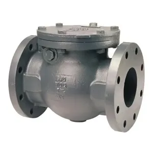 NIBCO NHE840D Swing Check Valve With Spring, 2 Inch Valve Size, Flanged Iron Body | CB9MUV