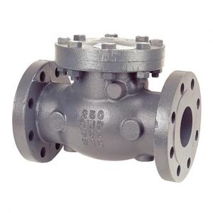 NIBCO NHET00F Swing Check Valve With Spring, 3 Inch Size, Flanged, Reinforced Graphite, Cast Iron Body | BZ7KGZ