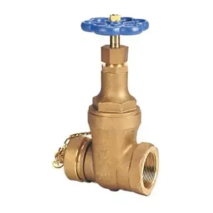 NIBCO NL0100E Gate Valve With Cap, 2-1/2 Inch Valve Size, Threaded, Bronze Body | CC4KMN