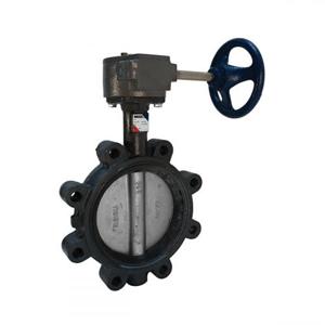 NIBCO NLG260D Lug Style Butterfly Valve, 2 Inch Valve Size, Ductile Iron | BY9MDE