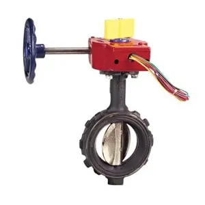 NIBCO NLH801M Butterfly Valve, 10 Inch Valve Size, Ductile Iron | BZ9DFJ