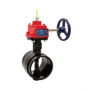 NIBCO NLK653FF Butterfly Valve With Ports, 76 mm Nominal, 300 psi Max Pressure, Ductile Iron | CA2BUG