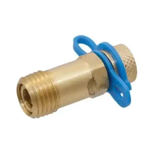 NIBCO RGC0003 PT Port, 1/4 Inch NPT | BT4APK