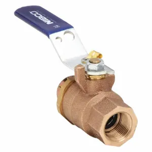 NIBCO T5857066HC 1/2 Bronze Ball Valve Fnpt x Hose Cap 1/2 In | AD4CUT 41E385