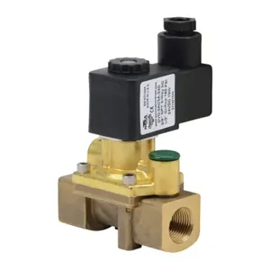 NITRA DVD-2AC3A-24D Solenoid Valve, 2-Way, 2-Position, N.C., Brass Body, 3/8 Inch Female Npt Inlet | CV8ERB