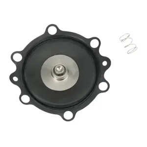 NITRA DVD-3VSEAL Diaphragm, Replacement, Viton | CV7HEX