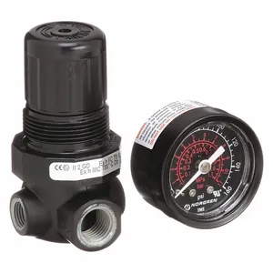 NORGREN R07-200-RGKA Compressed Air Regulator | CH9WYJ 22YU86