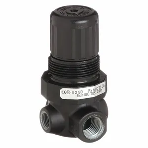 NORGREN R07-200-RNAA Compressed Air Regulator | CH9WYF 22YT26