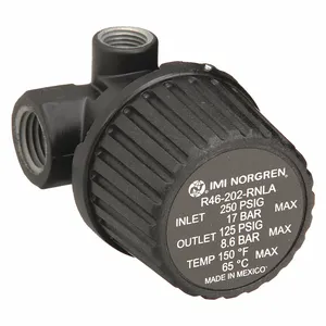 NORGREN R46-202-RNLA Compressed Air Regulator | CH9WYR 22YP36