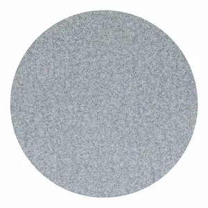 NORTON ABRASIVES 63642506203 Hook-and-Loop Sanding Disc, 6 Inch Dia, Non-Vacuum, Ceramic, P600 Grit, B Wt Paper | CT4ELV 804K10