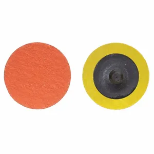 NORTON ABRASIVES 66261162308 Quick Change Disc, 1 1/2 Inch Dia., 36 Grit, Extra Coarse, Ceramic, Coated, 100Pk | CJ3CKD 1PYG4