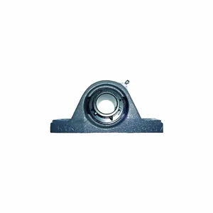 NTN UCPL-1M Mounted Ball Bearing 1 Inch Bore | AE6HKV 5RYV0