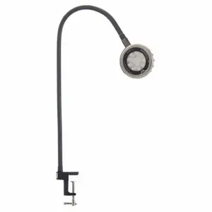 O.C. WHITE COMPANY LED-CD33-30-120V Spot Light, Led, Gooseneck, 33 Inch Arm Reach, 2, 750 Lm Max Brightness, 5000K, Clamp | CT4HPV 801CL0