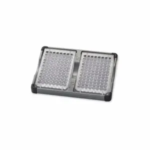 OHAUS 30400213 Double Microplate Holder, Foam | CT8AJW 404V91