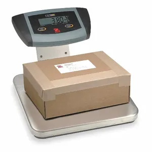 OHAUS ES30R Bench Scale, 66 lb Wt Capacity, 12 1/4 Inch Weighing Surface Dp | CV2RGG 6YG88