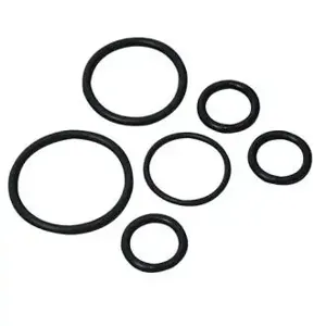 OIL SAFE 920007 O-Ring Kit, Premium Pump, Viton | CD9UUZ