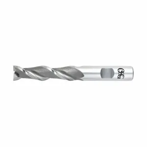 OSG 5350400 Square End Mill, Bright Finish, Center Cutting, 2 Flutes, 5/16 Inch Milling Dia | CT6QUD 35DG67