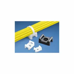 PANDUIT TM1S4-C Cable Tie Mount, Screw Applied, PK 100 | CT7CHJ 62PY65