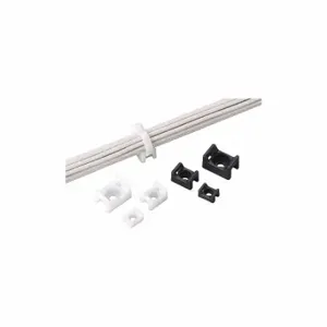 PANDUIT TM2S6-C0 Cable Tie Mount, Screw Applied, PK 100 | CT7CHH 62PY79