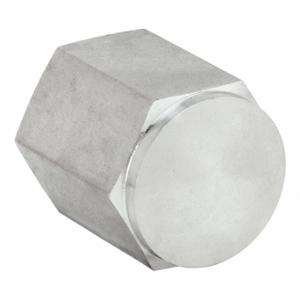 PARKER 3/4 HPC-SS Hex Cap, 316 Stainless Steel, 3/4 Inch Fitting Pipe Size, Female NPT | CT7FXY 60UY16
