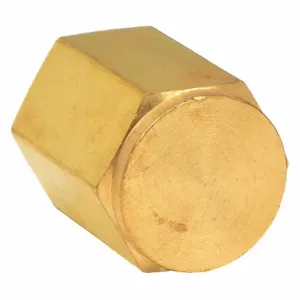 PARKER 4 CP-B Pipe Cap Brass 1/4 Inch Npt | AA9HVK 1DGR5