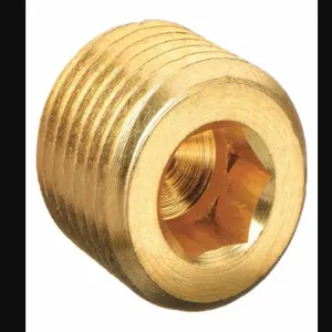 PARKER 2 PHH-B Hollow Hex Head Plug Brass 1/8 Inch Npt | AA9HWE 1DGU5