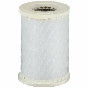 PARKER AA20-040 Compressed Air Filter Element, Coalescing, Carbon, Aa20-040 | CT7DHX 4GEK2