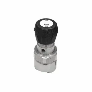 PARKER ABP1ST53BPX4-GR 2 Inch L Sainless Steel Pressure Regulator, 20 to 500 Psi | CD2GFE 442F33