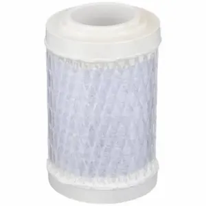 PARKER AM10-025 Compressed Air Filter Element, Coalescing, Carbon, Am10-025 | CT7DJB 4GEM4