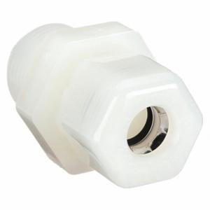 PARKER N6MC8 Male Connector, Nylon, 3/8 Inch Size Tube OD, 1/2 Inch Size Pipe Size, Compression x MNPTF | CT7HKD 2GVC8
