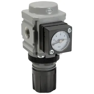 PARKER P31RB92BN1P Air Pressure Regulator, Mini, 1/8 Inch Size | BT4ZVT