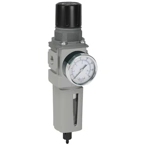 PARKER P32EB14ESAPNJP Filter Regulator, Semi Precision, Global Modular, 1/2 Inch Size | BT8BTJ