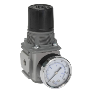 PARKER P32RB93BNGP Air Pressure Regulator, Compact, 3/8 Inch Size | BT7LBB