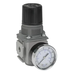 PARKER P32RB12BNJP Air Pressure Regulator, Compact, 1/4 Inch Size | BT6MWF