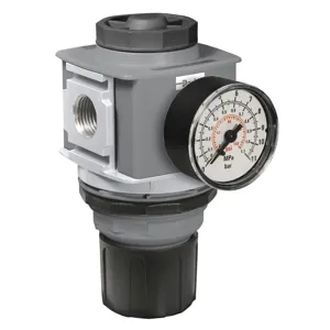 PARKER P33RA96BNYP Air Pressure Regulator, Standard, 3/4 Inch Size | BT4WMM