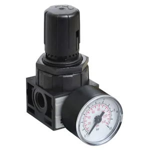 PARKER P3LRA12BNLP Air Pressure Regulator, 1/4 Inch Size | BT6CFN