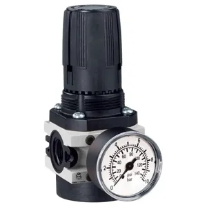 PARKER P3XRA14BNNN Air Pressure Regulator, 1/2 Inch Size | BT7HDA